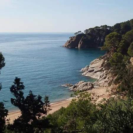 Apartment Kerstin Bruns - Apartamento La Illa With Sea View *